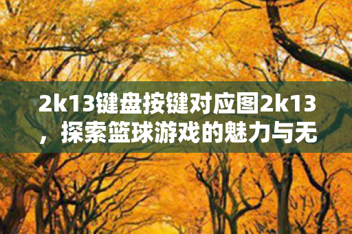 2k13键盘按键对应图2k13图片