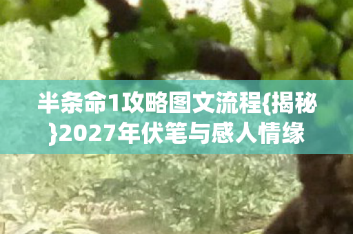 2027年伏笔与感人情缘图片