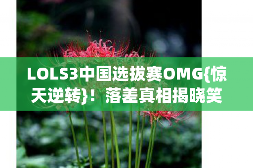 LOLS3中国选拔赛OMG图片