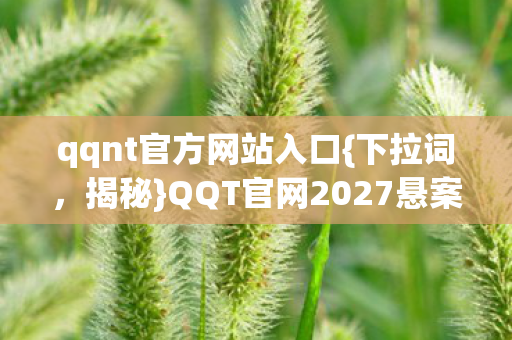 QQT官网2027悬案真相图片