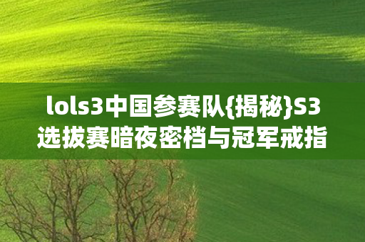 S3选拔赛暗夜密档与冠军戒指之谜图片