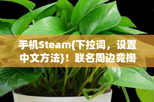 手机Steam{下拉词,设置中文方法}!联名周边竟掏空钱包 手机Steam{下拉词,设置中文方法}!联名周边竟掏空钱包