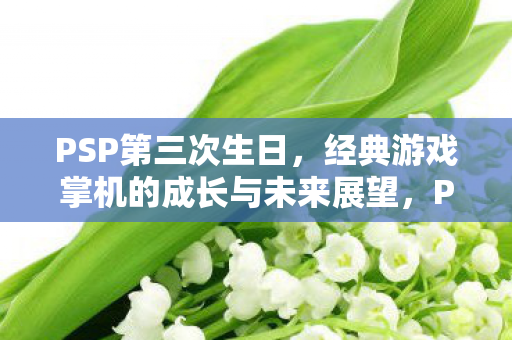 PSP第三次生日，经典游戏掌机的成长与未来展望，PSP经典游戏掌机，成长历程与未来展望