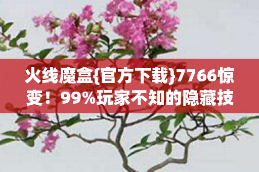 火线魔盒{官方下载}7766惊变!99%玩家不知的隐藏技巧 火线魔盒{官方下载}7766惊变!99%玩家不知的隐藏技巧