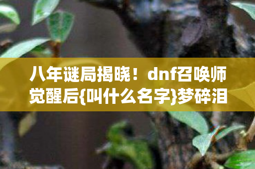 dnf召唤师觉醒后图片