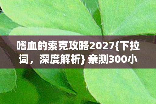 亲测300小时揭秘MMO震撼真相图片