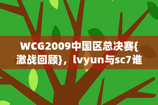 WCG2009中国区总决赛图片