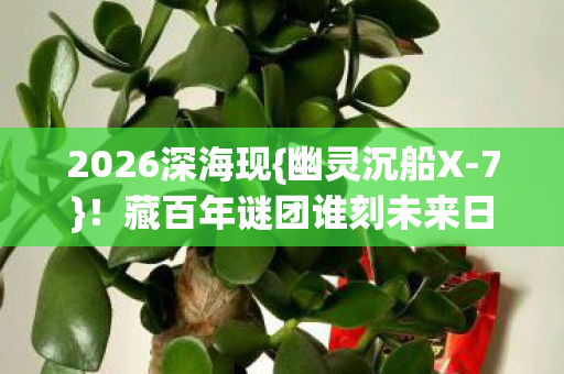 藏百年谜团谁刻未来日期图片