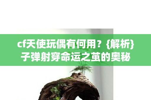 子弹射穿命运之茧的奥秘图片