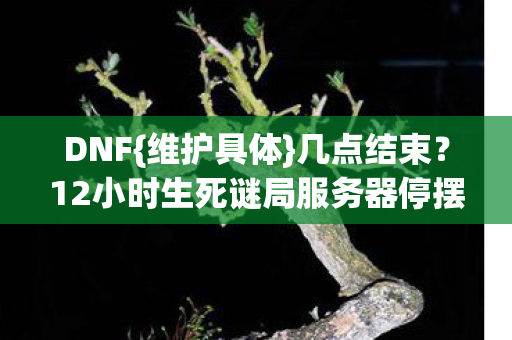 12小时生死谜局服务器停摆图片
