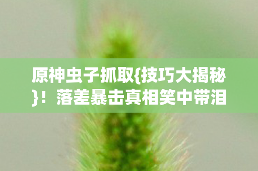 原神虫子抓取{技巧大揭秘}！落差暴击真相笑中带泪