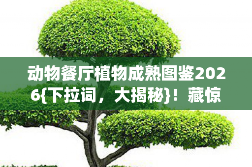 动物餐厅植物成熟图鉴2026{下拉词,大揭秘}!藏惊天秘密! 动物餐厅植物成熟图鉴2026{下拉词,大揭秘}!藏惊天秘密!