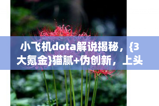 小飞机dota解说揭秘,{3大氪金}猫腻+伪创新,上头至极! 小飞机dota解说揭秘,{3大氪金}猫腻+伪创新,上头至极!
