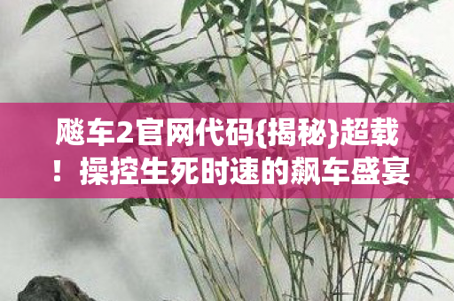 操控生死时速的飙车盛宴图片