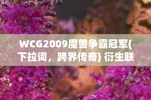 WCG2009魔兽争霸冠军图片