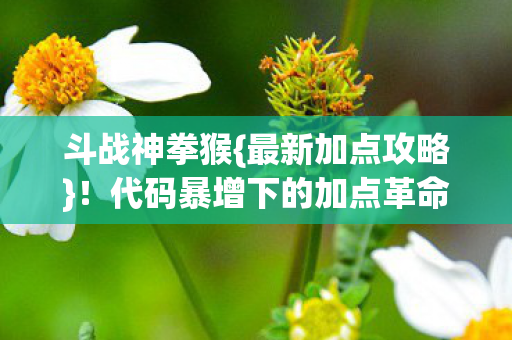 代码暴增下的加点革命图片