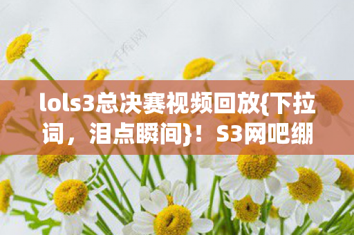 lols3总决赛视频回放图片