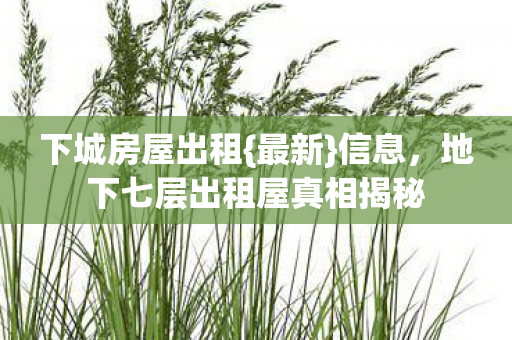 地下七层出租屋真相揭秘图片