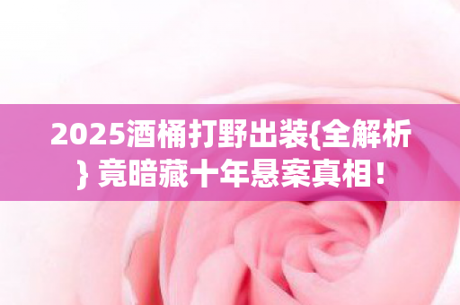 2025酒桶打野出装图片