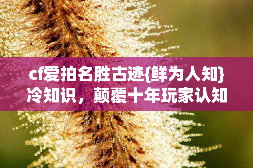 cf爱拍名胜古迹{鲜为人知}冷知识,颠覆十年玩家认知! cf爱拍名胜古迹{鲜为人知}冷知识,颠覆十年玩家认知!