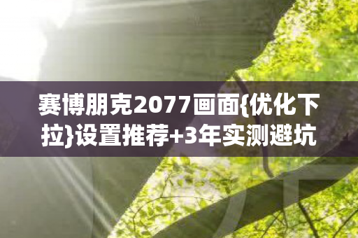 赛博朋克2077画面{优化下拉}设置推荐+3年实测避坑心得 赛博朋克2077画面{优化下拉}设置推荐+3年实测避坑心得