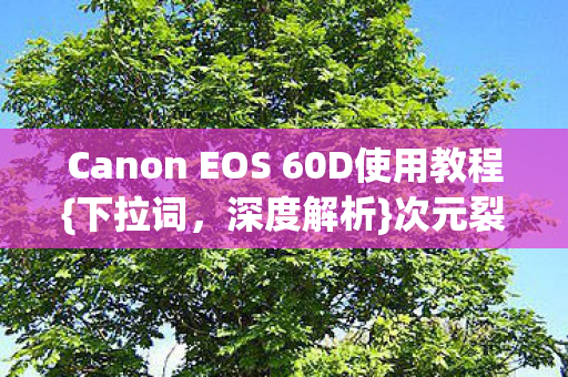 Canon EOS 60D使用教程图片