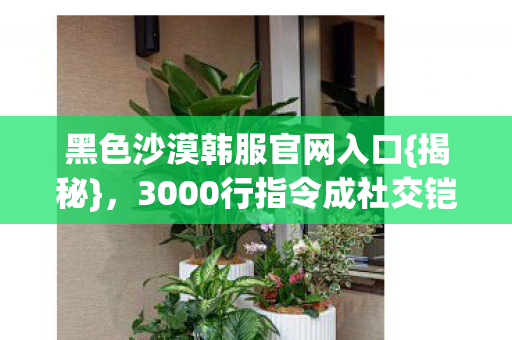 3000行指令成社交铠甲图片