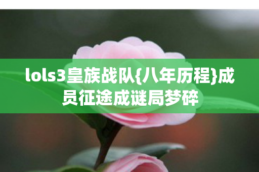 lols3皇族战队图片