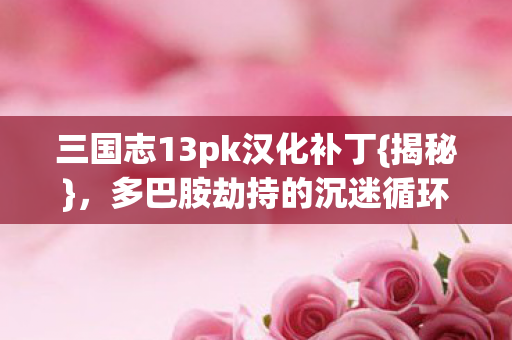 三国志13pk汉化补丁图片