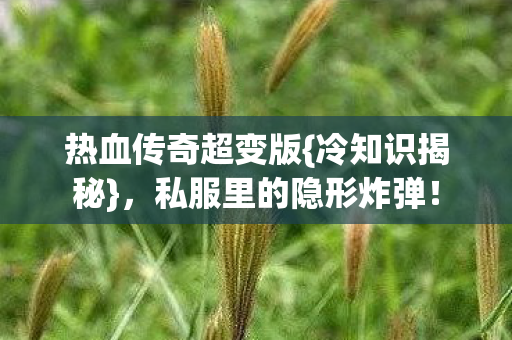 私服里的隐形炸弹图片
