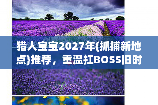 重温扛BOSS旧时光图片