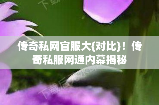 传奇私服网通内幕揭秘图片