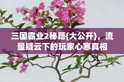 流量疑云下的玩家心寒真相图片
