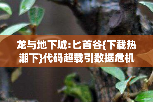 代码超载引数据危机图片