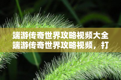 端游传奇世界攻略视频大全端游传奇世界攻略视频图片