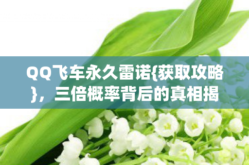 三倍概率背后的真相揭秘图片