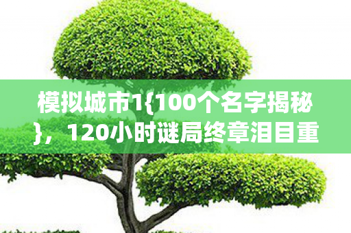 120小时谜局终章泪目重建图片