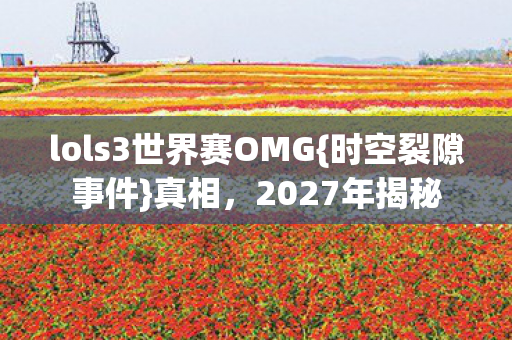 lols3世界赛OMG图片