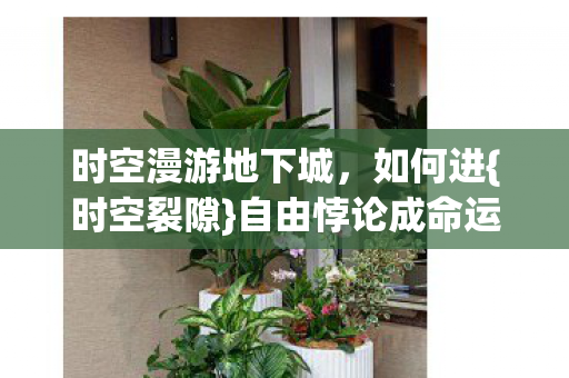 自由悖论成命运本身图片