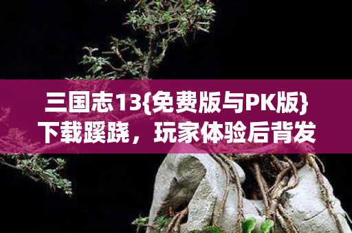 玩家体验后背发凉图片