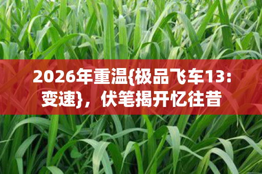 2026年重温图片