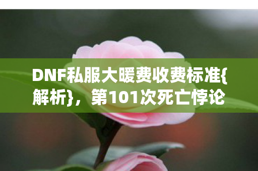 DNF私服大暖费收费标准{解析}，第101次死亡悖论审判