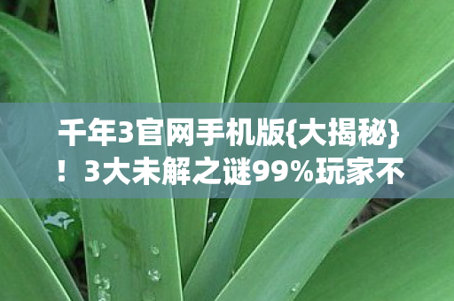 千年3官网手机版图片