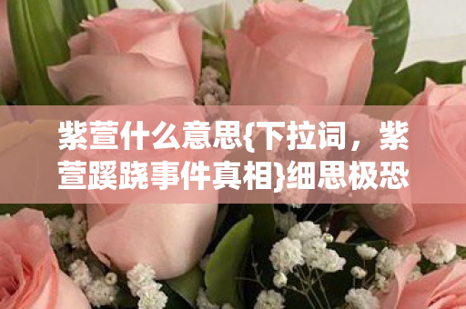 紫萱蹊跷事件真相图片