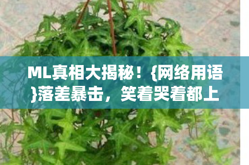 ML真相大揭秘图片