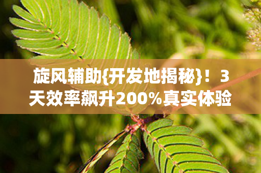 旋风辅助{开发地揭秘}!3天效率飙升200%真实体验 旋风辅助{开发地揭秘}!3天效率飙升200%真实体验