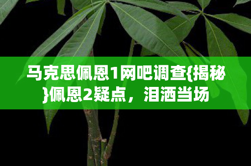 马克思佩恩1网吧调查{揭秘}佩恩2疑点,泪洒当场 马克思佩恩1网吧调查{揭秘}佩恩2疑点,泪洒当场