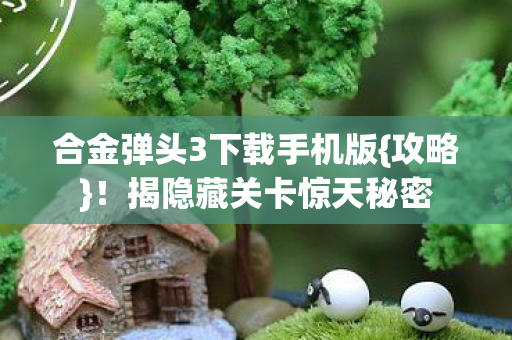 合金弹头3下载手机版图片