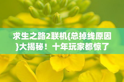 求生之路2联机图片
