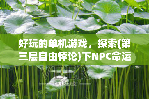 好玩的单机游戏图片
